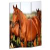 48" X 72" Multi Color Wood Canvas Horse  Screen