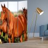 48" X 72" Multi Color Wood Canvas Horse  Screen