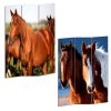 48" X 72" Multi Color Wood Canvas Horse  Screen