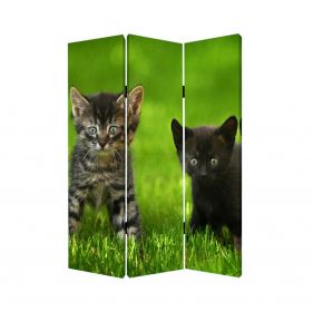 48 X 72 Multi Color Wood Canvas Curious Cat  Screen