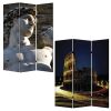 48" X 72" Multi Color Wood Canvas Rome  Screen