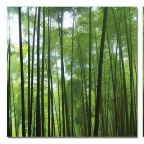 24" Canvas 3 Panels Forest Color Photo