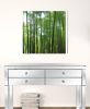 24" Canvas 3 Panels Forest Color Photo