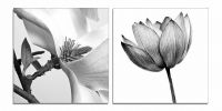 24" Black And White Canvas 2 Panels Photo