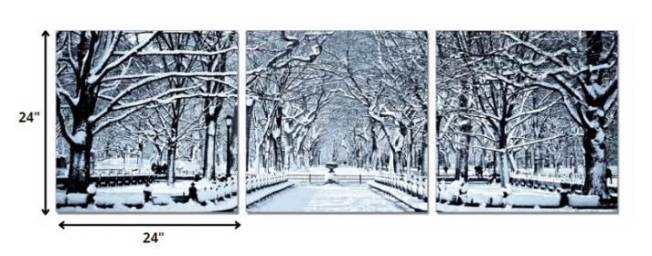 24" Multicolor Canvas 3 Horizontal Panels Winter Trees Photo