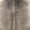 6 Ft Natural Grey Brindled Cowhide Rug