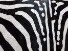 6 Ft Stenciled Reverse Zebra Cowhide Rug