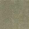 8' X 10'  Polyester Sage Area Rug