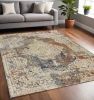 5' X 8' Multi Color Vintage Bordered Indoor Area Rug