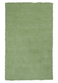 5' X 7' Spearmint Green Indoor Shag Rug