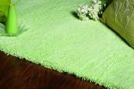 5' X 7' Spearmint Green Indoor Shag Rug