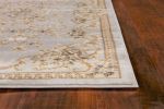 5' X 8' Light Grey Floral Vines Bordered Area Rug