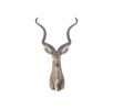 13" X 9" X 33" Antelope Head Wall Decorative