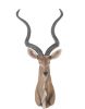 13" X 9" X 33" Antelope Head Wall Decorative