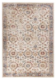 3' X 5' Ivory Vintage Traditional Area Rug