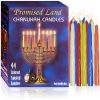 Promised Land Premium Chanukah Candles 44, Assorted Colors 8 Days of Chanukah Fits Most Menorahs