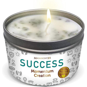 Magnificent 101 Momentum Creation Candle for Success | 6oz - 35hr Burn  Sage